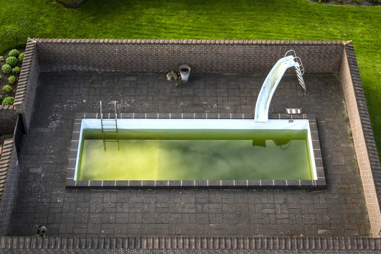 Was Tun Bei Grunem Wasser Im Pool
