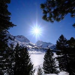 Zirbenkissen – Schlafwunder aus den Alpen!